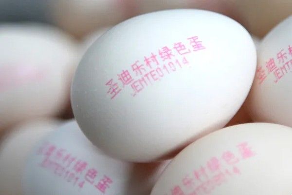 蛋